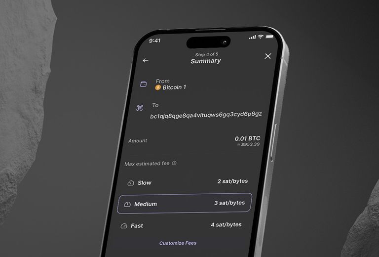 Ledger Nano S Plus